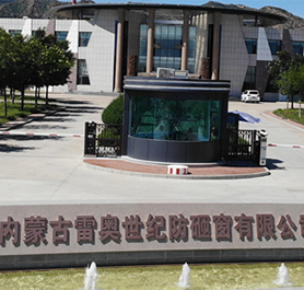 內(nèi)蒙古雷奧世紀(jì)防砸窗有限公司